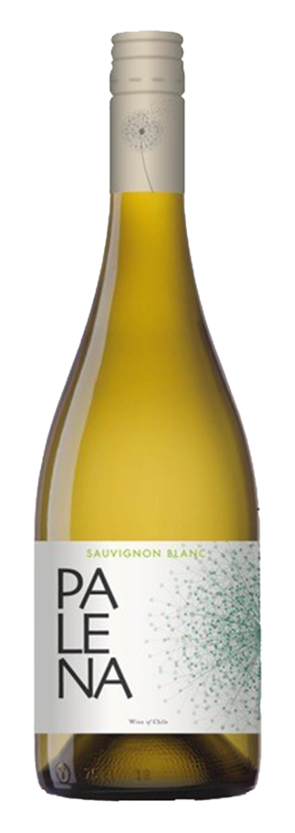 Palena, Rappel Valley Sauvignon Blanc