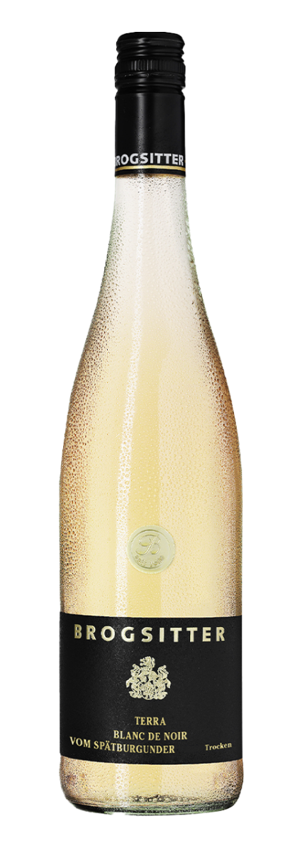 Brogsitter Weingüter, Rheinhessen Terra Blanc, Spätburgunder Blanc de Noir