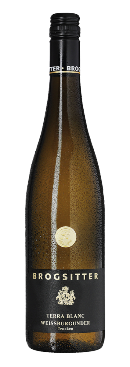 Brogsitter Weingüter, Rheinhessen Terra Blanc Weissburgunder