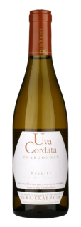 Jean Rijckaert, VdF Uva Cordata Chardonnay