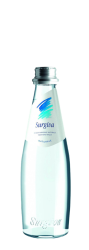 Surgiva,  Still Mineral water 0,25 lt.